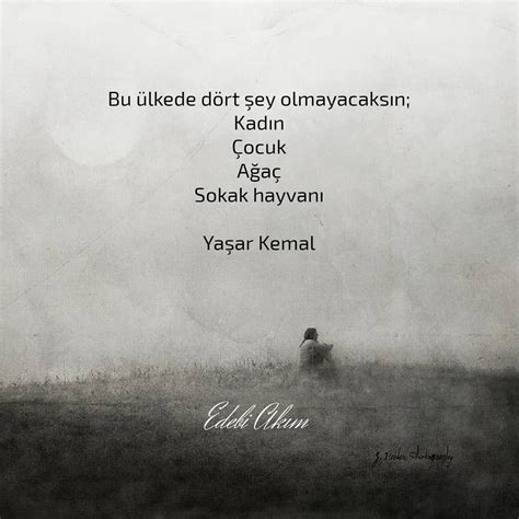 Kitap Ve Cümle Bu ülkede dört şey olmayacaksın Instagram.